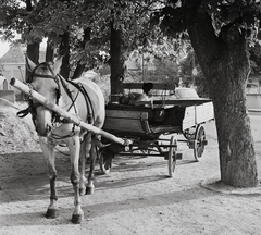 Magyarország, Szentendre, a Jókai utca és a Bükköspart utca találkozásánál. Balra a háttérben a Pozsarevacska szerb ortodox templom., 1971, Kotnyek Antal, ló, lovaskocsi, gyerek, Fortepan #21936