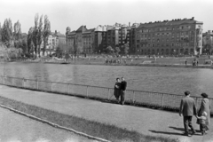 Hungary, Budapest XI., Feneketlen-tó, háttérben a Fadrusz utca házai., 1961, László Áron, Budapest, Fortepan #219465