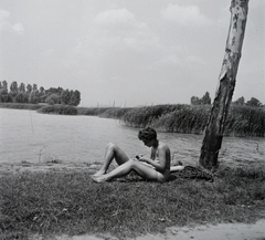 Hungary, Balatonföldvár, strand a Kvassay-sétánynál., 1958, Kotnyek Antal, bathing suit, relaxation, man, woman, shore, reed, Fortepan #21964