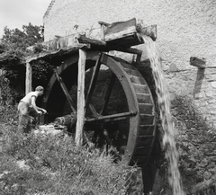 Magyarország, Jásd, a Gaja-patak melletti malom., 1957, Kotnyek Antal, malom, vizimalom, Fortepan #21970