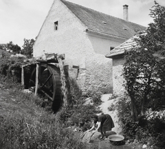 Magyarország, Jásd, a Gaja-patak melletti malom., 1957, Kotnyek Antal, malom, vizimalom, Fortepan #21971