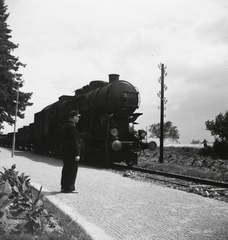 Magyarország,Balaton, Örvényes, vasúti megállóhely. MÁV 424-es gőzmozdony és tehervonata., 1955, Kotnyek Antal, Ráth Károly, gőzmozdony, MÁV, vasút, magyar gyártmány, légvezeték, lámpaoszlop, vasúti szerelvény, vasútállomás, vasutas, MÁV 424 sorozat, Fortepan #21976