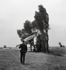 Magyarország,Balaton, Örvényes, 1955, Kotnyek Antal, Ráth Károly, horgászbot, férfi, vállon vinni, szák, Fortepan #21977