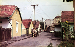 Hungary, Szentendre, Bocskai utca (később a Dunakanyar körút, az új 11-es főút került kialakításra a helyén), távolabb a Római sánc köznél a mai Váci Szakképzési Centrum Petzelt József Technikum és Szakképző Iskola épülete., 1980, Mezey András, Fortepan #219859