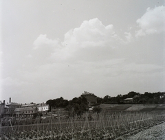 Magyarország, Balatonfüred, a Szívkórház területe, középen a Liliom utca - Táncsics Mihály utca sarkán álló épület látható., 1956, Kotnyek Antal, mezőgazdaság, Fortepan #21986