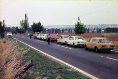 1980, Mezey András, number plate, cop, Fortepan #219873