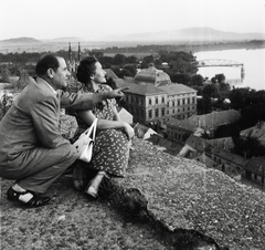 Magyarország, Esztergom, háttérben a felrobbantott Mária Valéria híd., 1955, Kotnyek Antal, híd, látkép, hídroncs, Duna, Duna-híd, Feketeházy János-terv, Fortepan #21991