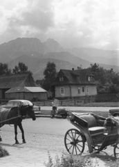 Lengyelország,Lengyel Magas-Tátra, Zakopane, háttérben a Giewont csúcs., 1962, Mihály Tamás, Fortepan #219927