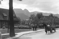 Lengyelország,Lengyel Magas-Tátra, Zakopane, háttérben a Giewont csúcs., 1962, Mihály Tamás, Fortepan #219928