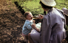 Magyarország, 1967, N. Kósa Judit, tea, cumisüveg, színes, anya, gyerek, Fortepan #219978