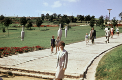 Magyarország, Gellérthegy, Budapest XI., a Citadella alatti déli lejtő, Jubileumi park., 1970, N. Kósa Judit, színes, Budapest, Fortepan #220009