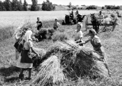 1953, Balla Zoltán, Bereth Ferenc, aratás, traktor, Fortepan #220073