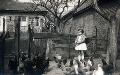 1938, Horváth Ida, girl, yard, poultry, feeding, Fortepan #220324