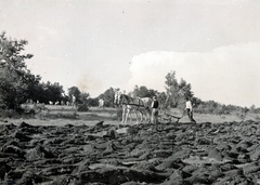 1938, Jankó András, Fortepan #220700