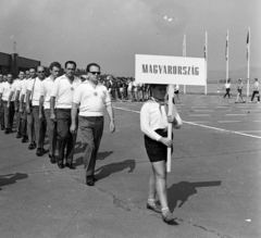 Magyarország, Budaörsi repülőtér, Budapest XI., Körrepülő Modellek Világbajnoksága, az ezüstérmes magyar csapat., 1964, MHSZ, úttörő, verseny, címer, Budapest, Fortepan #22181