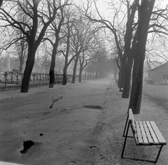 Magyarország, Budapest VIII., Fiumei úti Nemzeti Sírkert (Kerepesi temető), szovjet katonai parcella., 1979, MHSZ, Budapest, Fortepan #22185