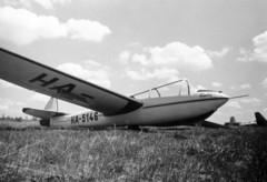 Magyarország, Dunakeszi, repülőtér, Beniczky M-30 Fergeteg típusú vitorlázó repülőgép., 1952, Nasztanovics Ferenc, magyar gyártmány, repülőgép, vitorlázó repülőgép, Beniczky Lajos-terv, Beniczky M-30 Fergeteg, Fortepan #222122