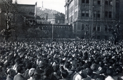 Magyarország, Budapest XI., Budapesti Műszaki Egyetem (később Budapesti Műszaki és Gazdaságtudományi Egyetem) udvara. A felvétel 1956. október 23-án 14-15 óra között készült az összegyűlt egyetemistákról., 1956, Horváth János és családja, Budapest, forradalom, fiatalság, tömeg, Fortepan #222369