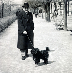 Magyarország, budai Vár, Budapest I., a felvétel a Tóth Árpád (Gróf Bethlen István) sétányon készült., 1941, Róna Annamária, kutyasétáltatás, Budapest, Fortepan #223301