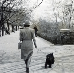 Magyarország, budai Vár, Budapest I., a felvétel a Tóth Árpád (Gróf Bethlen István) sétányon készült., 1941, Róna Annamária, kutya, háttal, hölgy, póráz, kutyasétáltatás, Budapest, Fortepan #223302