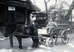 Magyarország, Városliget,Állatkert, Budapest XIV., pónifogat., 1922, Közösségi Szociális Szövetkezet, Budapest, gyerek, lovaskocsi, pavilon, fotószaküzlet, Fortepan #223440