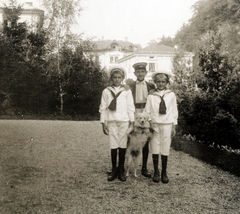 1916, Közösségi Szociális Szövetkezet, three people, boys, dog, sailor blouse, sailor cap, Fortepan #223506