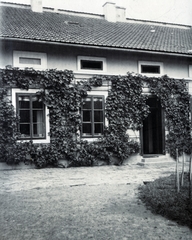 1919, Közösségi Szociális Szövetkezet, yard, window, entrance, Fortepan #223521