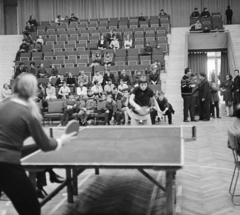 Magyarország, Szombathely, Művelődési és Sportház., 1980, MHSZ, verseny, ping pong, ping pong asztal, Fortepan #22382