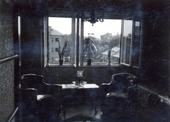 1942, Kádár Anna, interior, window, indoor plants, Fortepan #223909