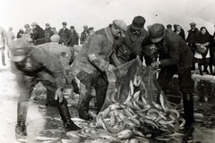 Magyarország,Balaton, lékhalászat a befagyott tavon., 1934, Kieselbach Tamás, halászat, halászháló, Fortepan #224121