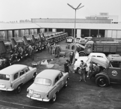 Magyarország, Budapest XIII., Dagály utca 11., MHS (Magyar Honvédelmi Sportszövetség) központi gépjármű telep, Budapesti Gépkocsivezetőképző Iskola., 1964, MHSZ, szovjet gyártmány, teherautó, Moszkvics-márka, Moszkvics 423, Moszkvics 407, rendszám, Budapest, telephely, Fortepan #22415