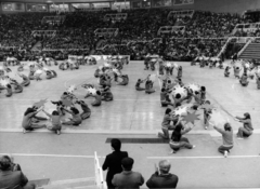 Magyarország, Budapest XIV., Budapest Sportcsarnok, középiskolás lányok karikagyakorlata. A felvétel a főváros felszabadulásának 37. évfordulóján, február 12-én, a létesítmény átadásakor készült., 1982, Bertalan Ágnes, Budapest, Fortepan #224205