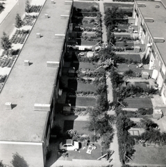 Hollandia, Enschede, kilátás a Spechtstraat 51. szám alatt található toronyházból, a Valkenstraat és a Buizerdstraat sorházai felé., 1968, Horváth May László, Fortepan #224652