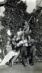 1936, Vincent Till Baumgartner, csoportkép, lépcső, repkény, éneklés, mandolin, gitár, Fortepan #225325