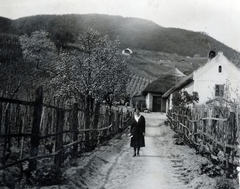 Magyarország,Balaton, Badacsonytomaj,Badacsony, 1930, Vincent Till Baumgartner, népi építészet, híd, Fortepan #225402