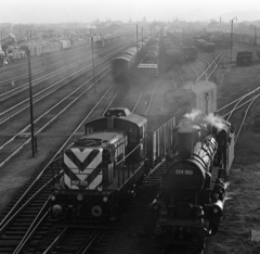 Hungary, Budapest XIV., Rákosrendező vasúti pályaudvar., 1965, Magyar Rendőr, steam locomotive, Hungarian Railways, railway, Hungarian brand, train station, diesel locomotive, MÁV Class 324, MÁV M44 series, Budapest, Fortepan #22579