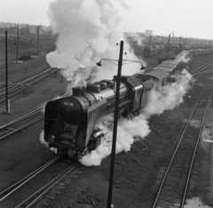 Hungary, Budapest XIV., Rákosrendező vasúti pályaudvar., 1965, Magyar Rendőr, steam locomotive, Hungarian Railways, railway, Hungarian brand, MÁV Class 424, Budapest, Fortepan #22580