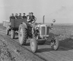 Hungary, Balmazújváros, 1965, Magyar Rendőr, tractor, number plate, Fortepan #22584