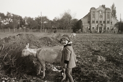 Magyarország, Rákospalota, Budapest XV., Régi Fóti út 77., zsinagóga., 1943, Fortepan/Album002, templom, zsinagóga, kecske, gyerekek, állat, zsidóság, Budapest, Fortepan #22616