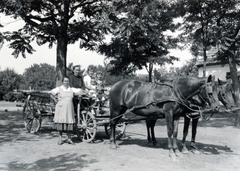 1938, Csókay Ágnes, horse, chariot, Fortepan #226182