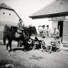 1953, Cseke Györgyné, lovaglás, szövetkezeti bolt, lovas, Fortepan #226280