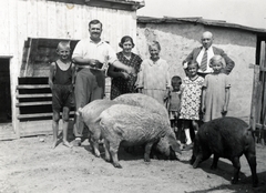 1932, Farkas Jolán, pig, Fortepan #226284