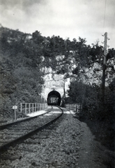 Magyarország, Bakonyszentlászló, Vinye, a Cuha patak völgye, híd (később Gubányi Károly viadukt) a Győr-Veszprém vasútvonalon., 1936, Fóris Gábor / Vastagh Miklós hagyatéka, Fortepan #226465