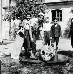 1937, Fóris Gábor / Vastagh Miklós hagyatéka, disznóvágás, teknő, Fortepan #226516