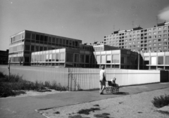 Magyarország, Újpalota, Budapest XV., Kavicsos köz 2., Nyomdaipari és Pamutipari Szakmunkásképző (később Al Wahda arab iskola)., 1974, Középületépítő Vállalat - Kreszán Albert - Koczka András - Kemecsei József, Budapest, Fortepan #226690