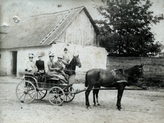 1903, Perlaki Rózsa, lovaskocsi, Fortepan #227269