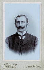 1908, Perlaki Rózsa, glasses, tie, man, moustache, portrait, Fortepan #227280