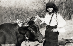 Romania, 1917, Vízkelety László, folk costume, hackery, smile, peasant, attire, headscarf, cattle, apron, buffalo, Fortepan #227510