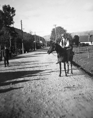 Ukraine,Zakarpattia Oblast, Hucul lovas., 1941, Ungváry Krisztián, rider, Fortepan #22761