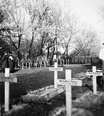 Ukrajna, Hmelnickij, (Proszkuriv), katonai hősi temető, előtérben a német parcella, hátrébb a magyar parcella., 1942, Ungváry Krisztián, keleti front, második világháború, temető, hadisír, Fortepan #22775